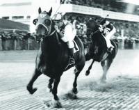 WAR ADMIRAL