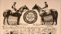 WAR ADMIRAL