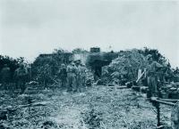  The Battle of Peleliu