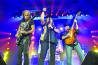 LYNYRD SKYNYRD
