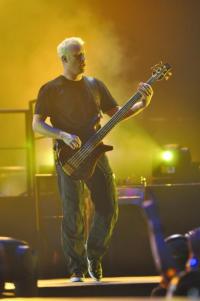 NICKELBACK / Shinedown / Sick Puppies