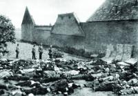 LIDICE 