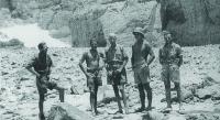 BATTLE OF ALAM EL HALFA  OR THE ENGLISH PATIENT TO THE RESCUE